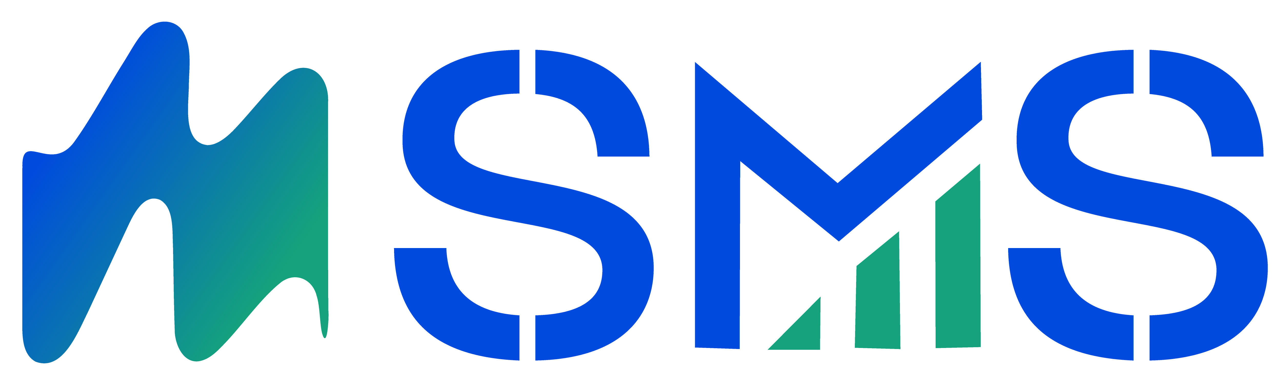HSMS logo